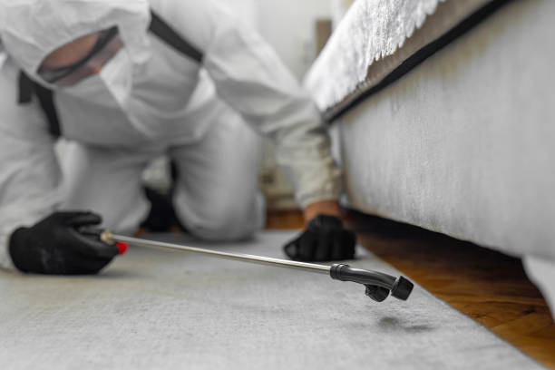 Professional Bed Bug Control technician working in Huron County County, OH